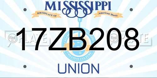 17ZB208 Mississippi License Plate