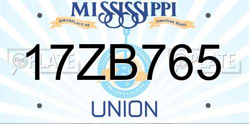 17ZB765 Mississippi License Plate