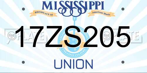 17ZS205 Mississippi License Plate