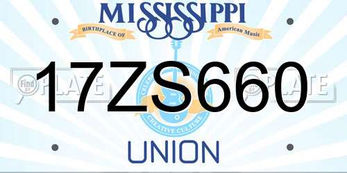 17ZS660 Mississippi License Plate