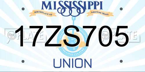17ZS705 Mississippi License Plate
