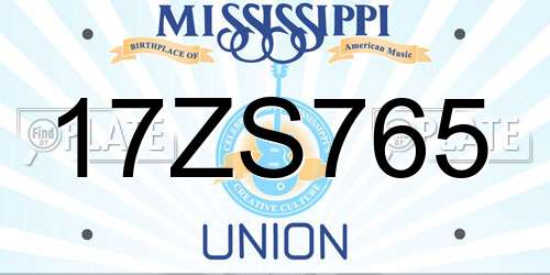 17ZS765 Mississippi License Plate