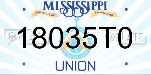 18035T0 Mississippi License Plate