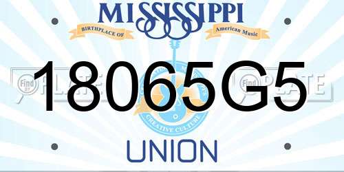 18065G5 Mississippi License Plate