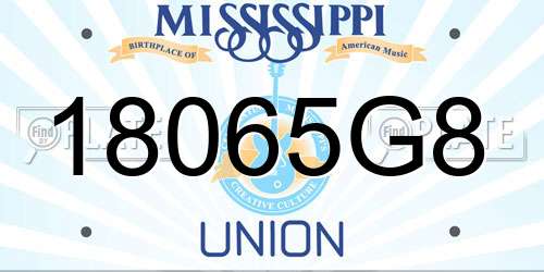 18065G8 Mississippi License Plate
