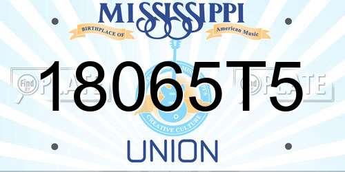 18065T5 Mississippi License Plate