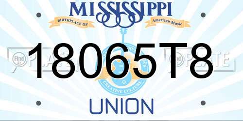 18065T8 Mississippi License Plate