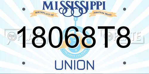 18068T8 Mississippi License Plate