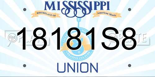 18181S8 Mississippi License Plate