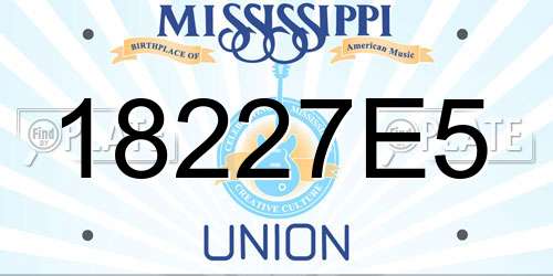 18227E5 Mississippi License Plate