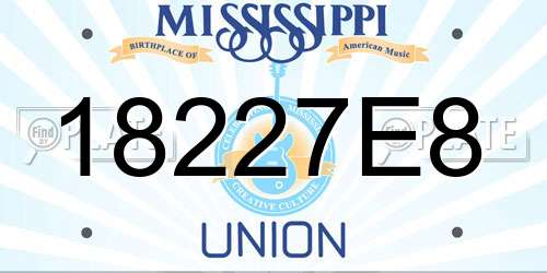 18227E8 Mississippi License Plate