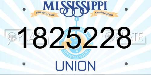1825228 Mississippi License Plate