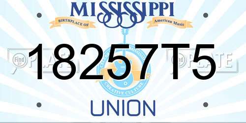 18257T5 Mississippi License Plate