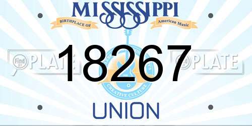 18267 Mississippi License Plate