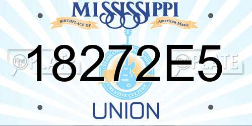 18272E5 Mississippi License Plate