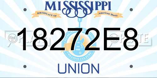 18272E8 Mississippi License Plate