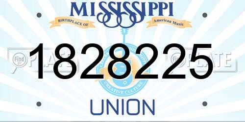 1828225 Mississippi License Plate