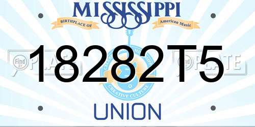 18282T5 Mississippi License Plate