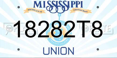 18282T8 Mississippi License Plate