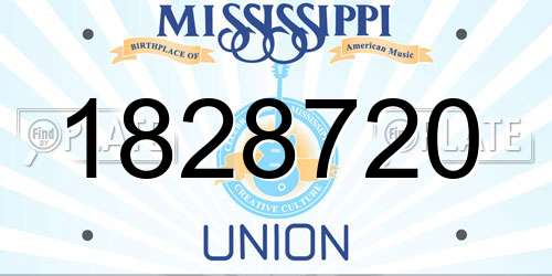 1828720 Mississippi License Plate
