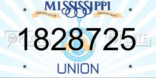 1828725 Mississippi License Plate