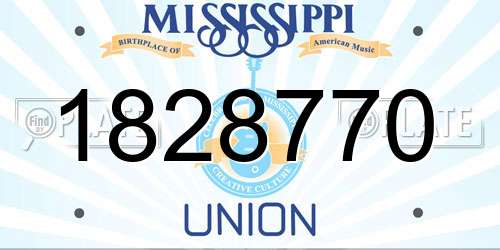 1828770 Mississippi License Plate