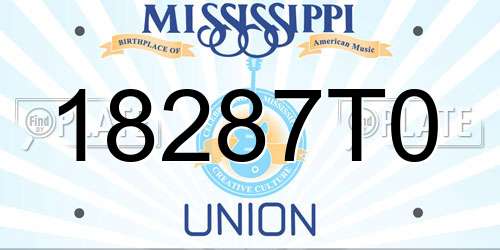 18287T0 Mississippi License Plate