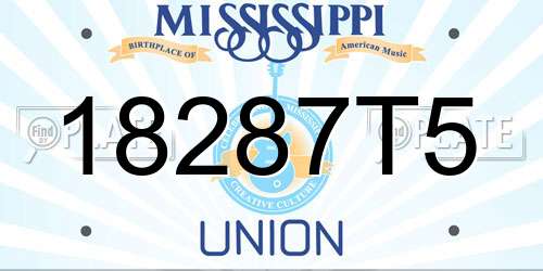 18287T5 Mississippi License Plate