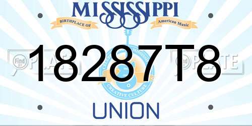 18287T8 Mississippi License Plate