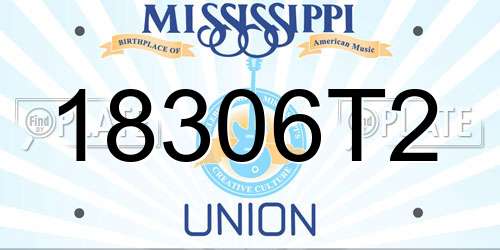 18306T2 Mississippi License Plate