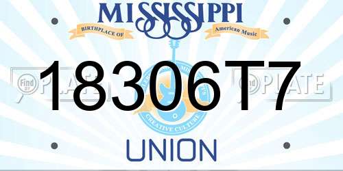 18306T7 Mississippi License Plate