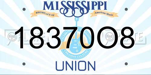 18370O8 Mississippi License Plate