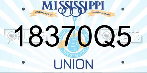 18370Q5 Mississippi License Plate