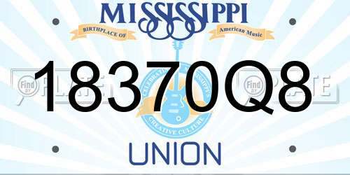 18370Q8 Mississippi License Plate