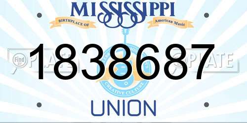 1838687 Mississippi License Plate