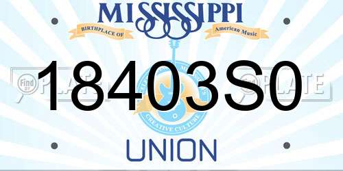 18403S0 Mississippi License Plate