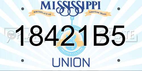 18421B5 Mississippi License Plate