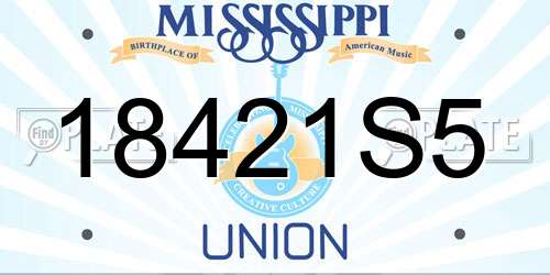 18421S5 Mississippi License Plate