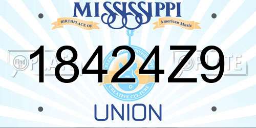 18424Z9 Mississippi License Plate