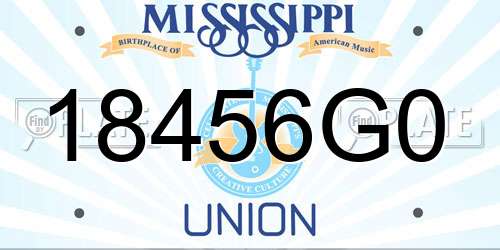 18456G0 Mississippi License Plate
