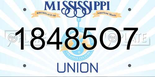 18485O7 Mississippi License Plate