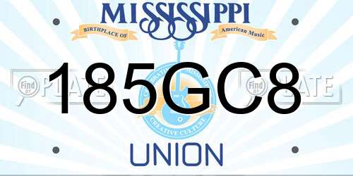 185GC8 Mississippi License Plate