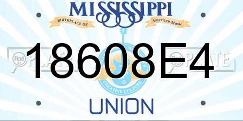 18608E4 Mississippi License Plate