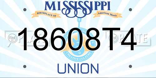 18608T4 Mississippi License Plate