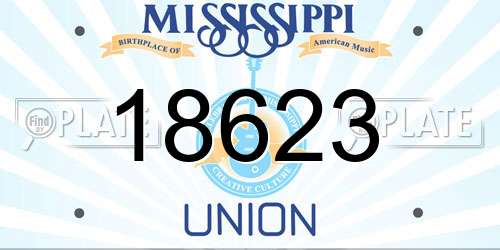 18623 Mississippi License Plate