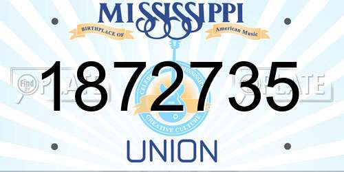 1872735 Mississippi License Plate