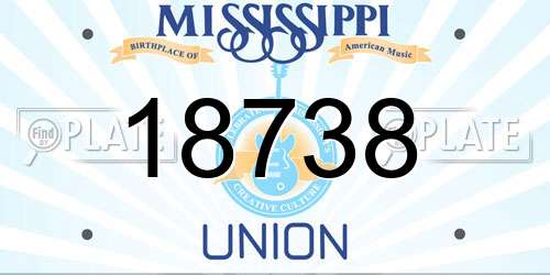 18738 Mississippi License Plate