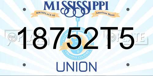 18752T5 Mississippi License Plate