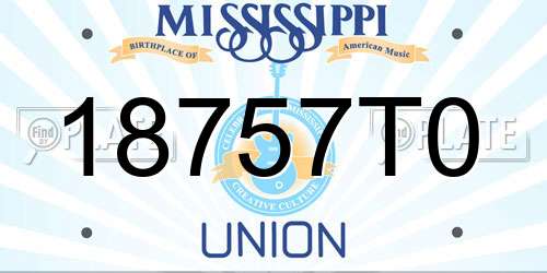 18757T0 Mississippi License Plate