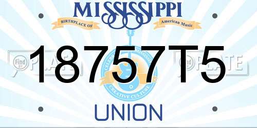 18757T5 Mississippi License Plate